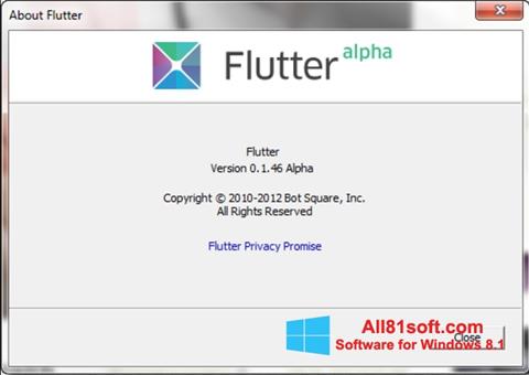 Ekraanipilt Flutter Windows 8.1