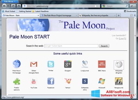 Ekraanipilt Pale Moon Windows 8.1