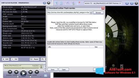 Ekraanipilt FLV Player Windows 8.1