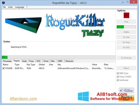 Ekraanipilt RogueKiller Windows 8.1
