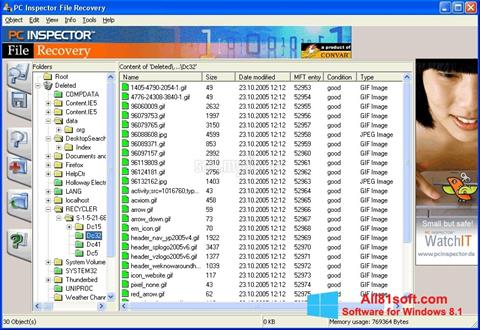 Ekraanipilt PC Inspector File Recovery Windows 8.1
