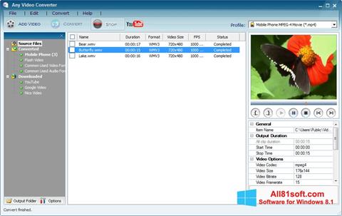 Ekraanipilt Any Video Converter Windows 8.1