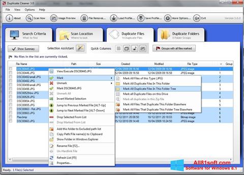 Ekraanipilt Duplicate Cleaner Windows 8.1