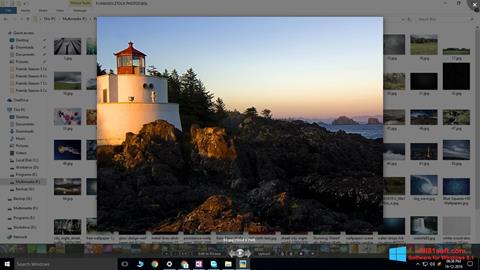 Ekraanipilt Picasa Photo Viewer Windows 8.1
